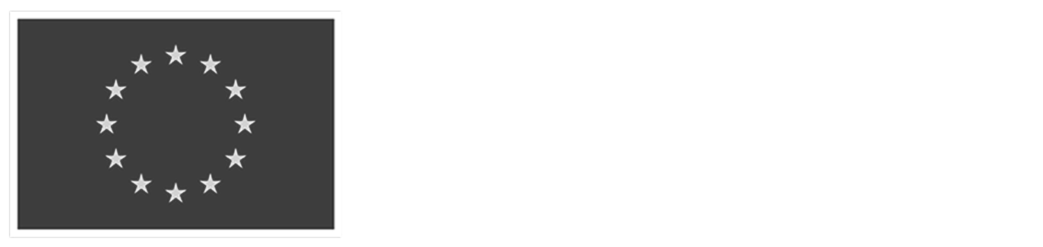 Cofinanciado pela União Europeia