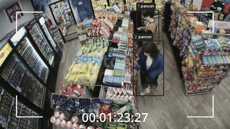 Theft & Shoplifting Detection